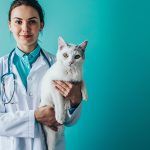 veterinar-sector-4-2